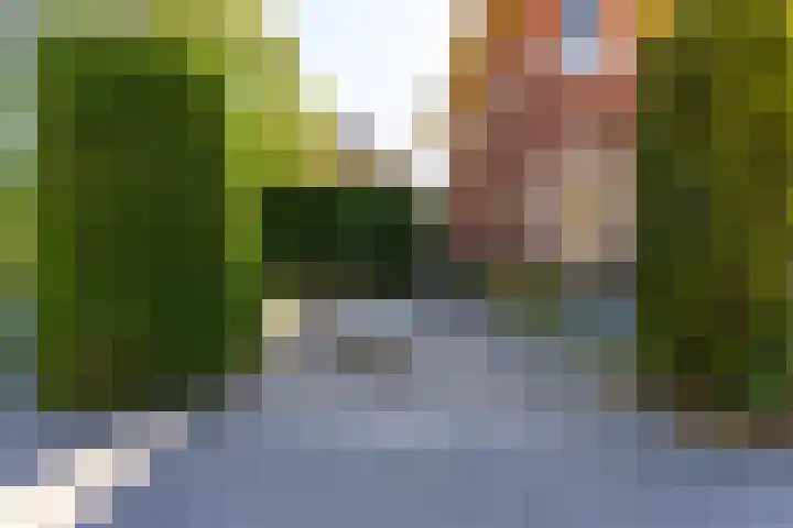 Geelvinckstraat 21 Castricum thumbnail 95