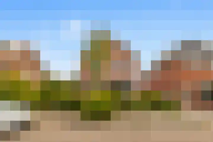 Geelvinckstraat 33 Castricum