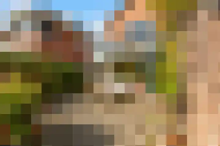 Geelvinckstraat 33 Castricum thumbnail 36
