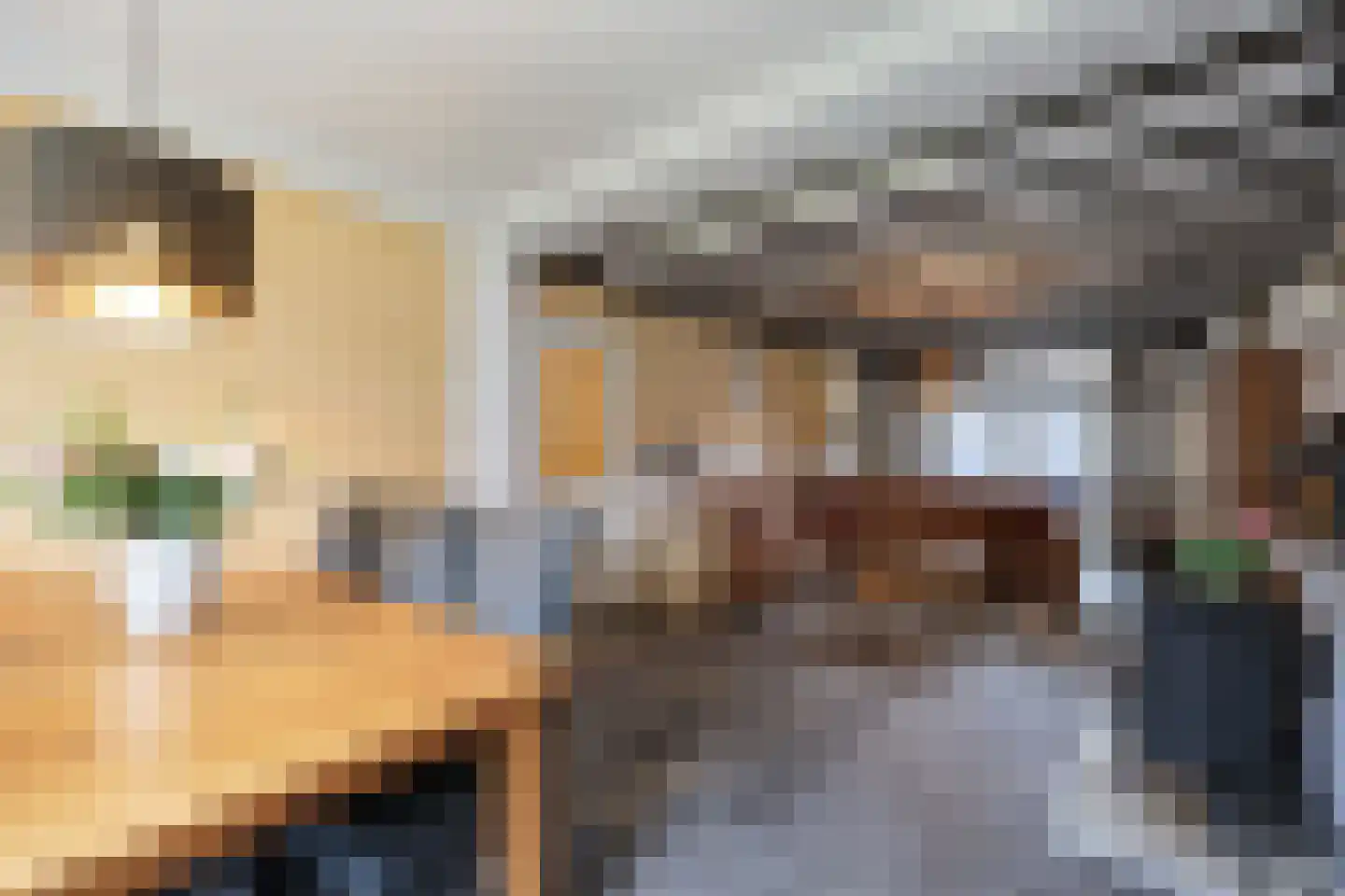 Geelvinckstraat 34 Velsen-Noord thumbnail 6