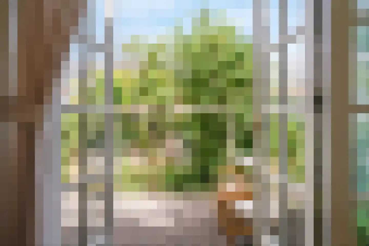 Geelvinckstraat 57 Castricum thumbnail 13