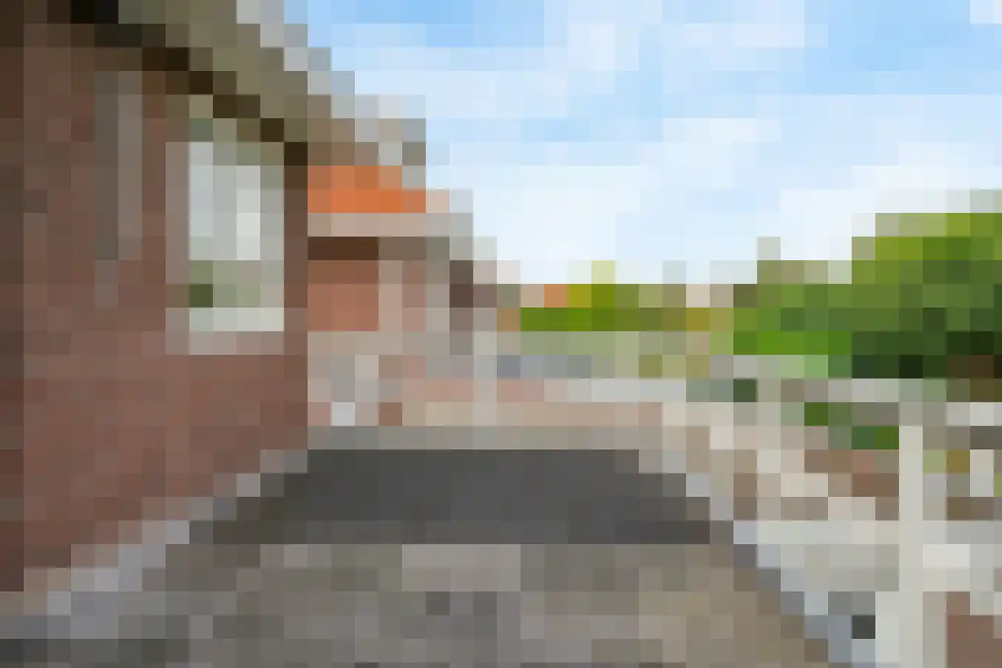 Geelvinckstraat 57 Castricum thumbnail 31