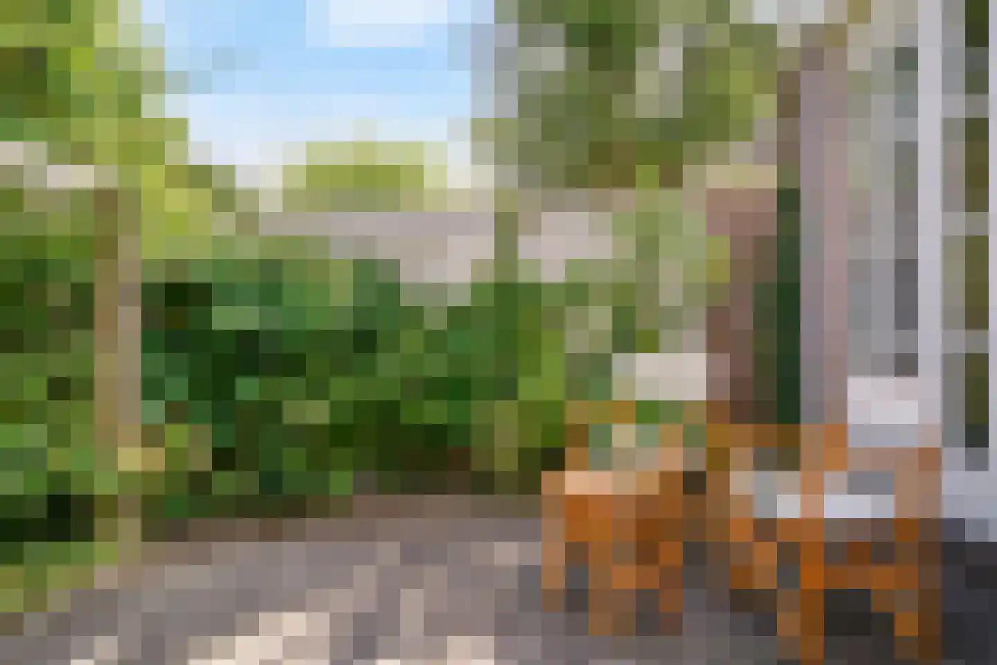 Geelvinckstraat 57 Castricum thumbnail 48