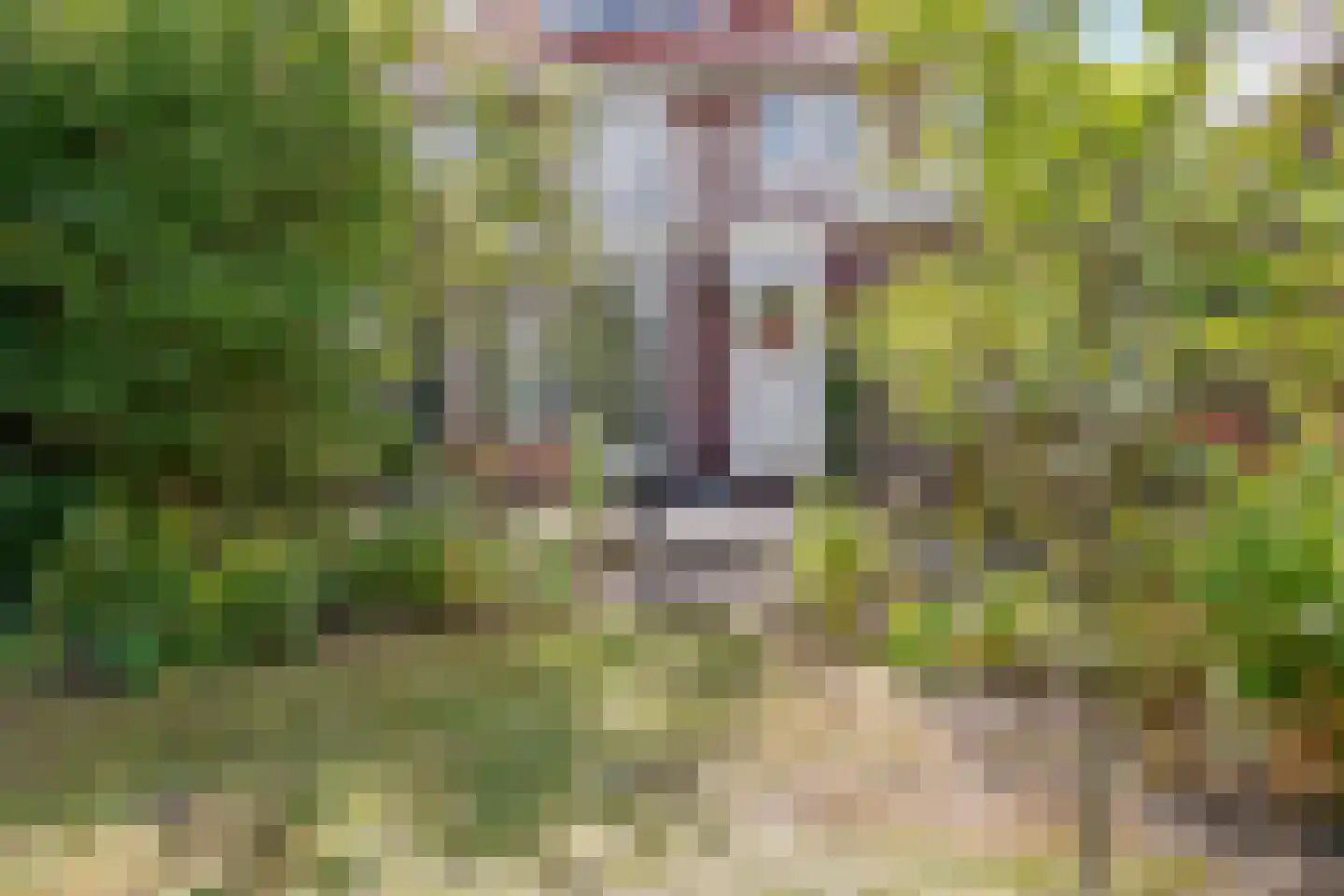 Geelvinckstraat 57 Castricum thumbnail 51