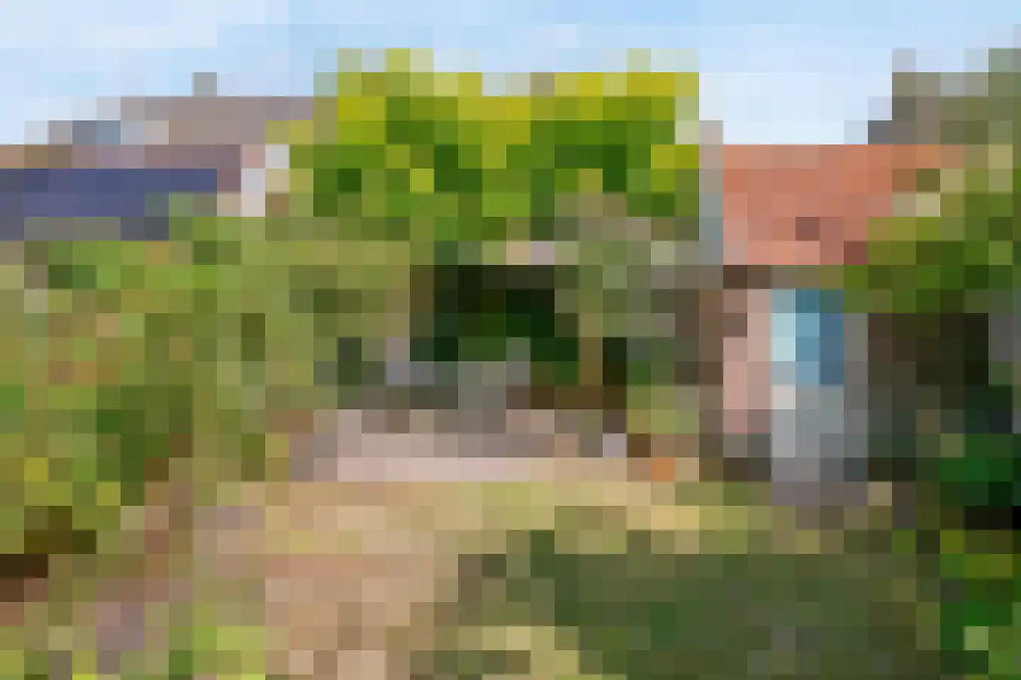 Geelvinckstraat 57 Castricum thumbnail 54