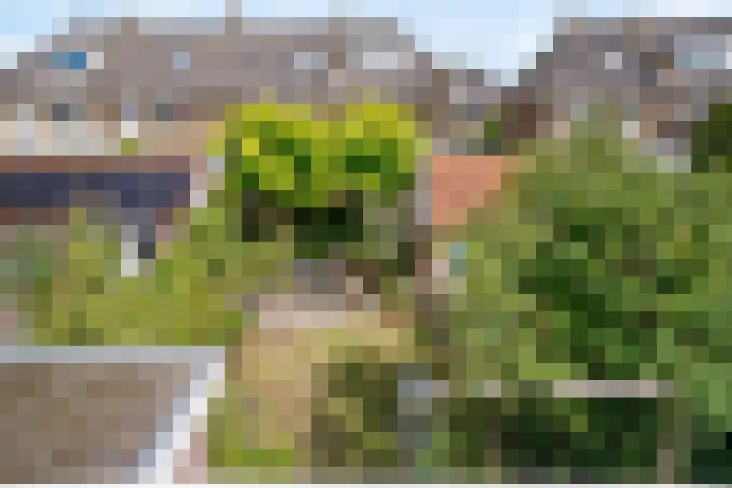 Geelvinckstraat 57 Castricum thumbnail 55