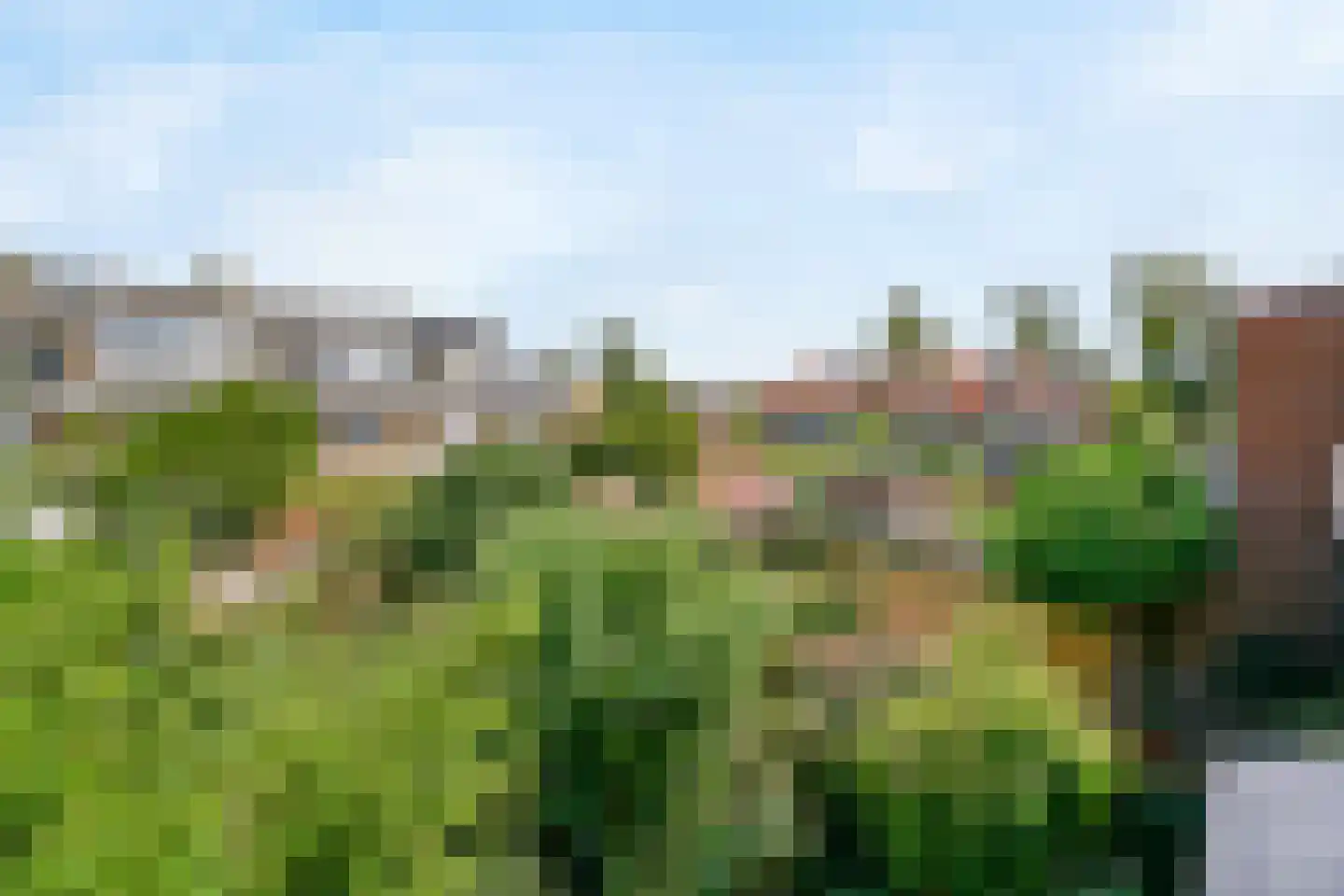Geelvinckstraat 57 Castricum thumbnail 56