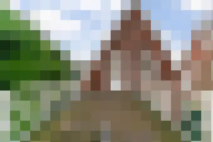 Geelvinckstraat 6 a Castricum thumbnail 30