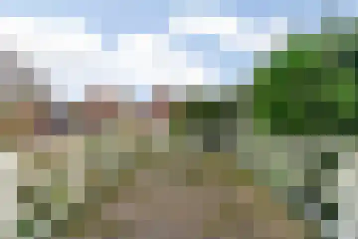 Geelvinckstraat 6 a Castricum thumbnail 31