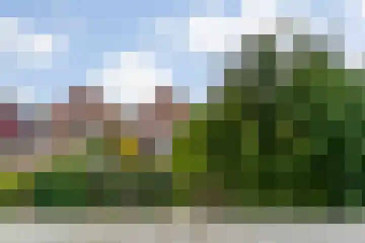 Geelvinckstraat 6 a Castricum thumbnail 32
