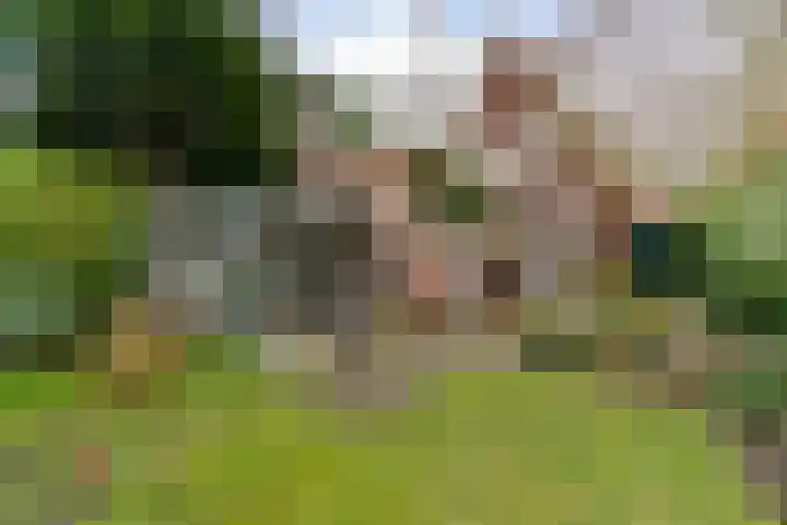 Geelvinckstraat 6 a Castricum thumbnail 35