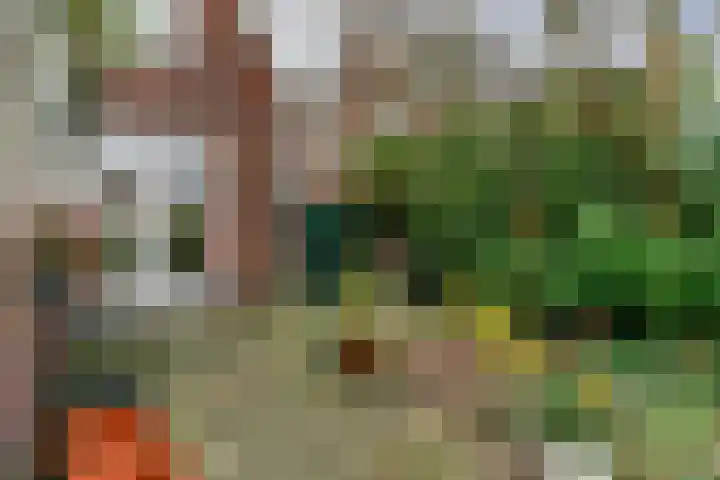 Geelvinckstraat 6 a Castricum thumbnail 36