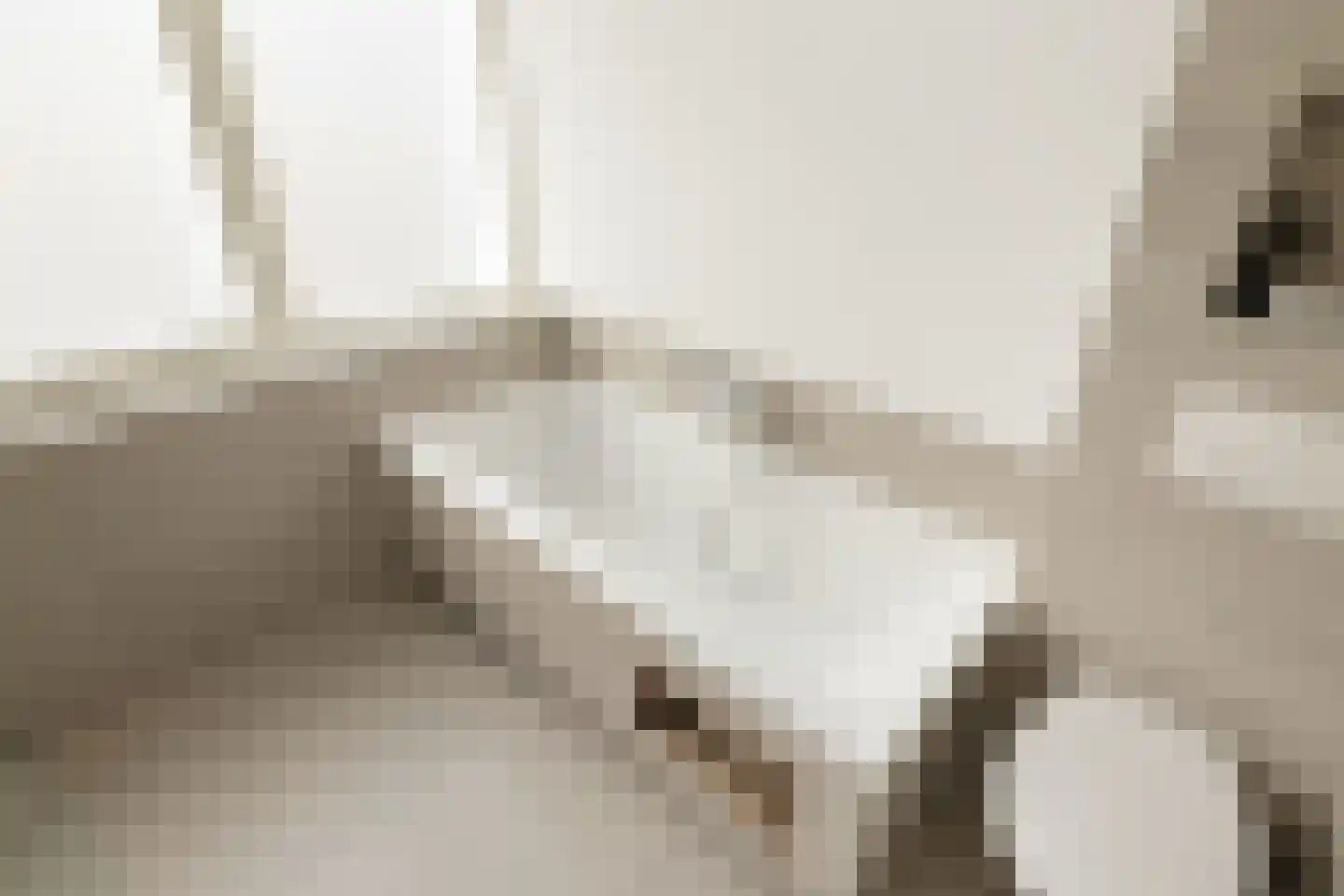 Geelvinckstraat 81 Velsen-Noord thumbnail 33