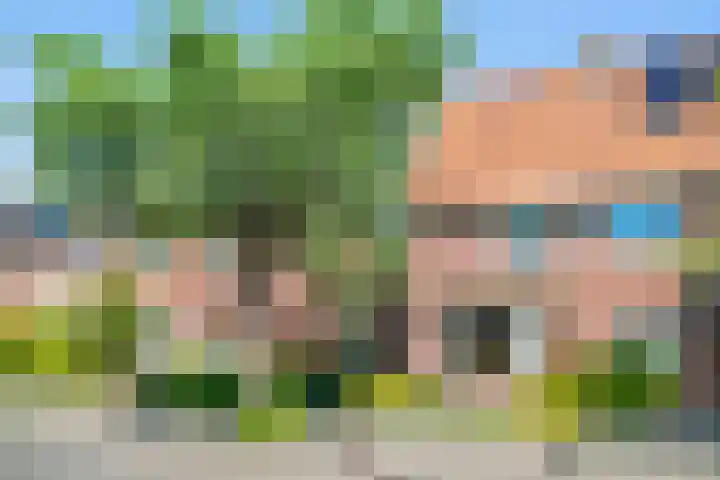 Geelvinckstraat 89 Castricum thumbnail 6