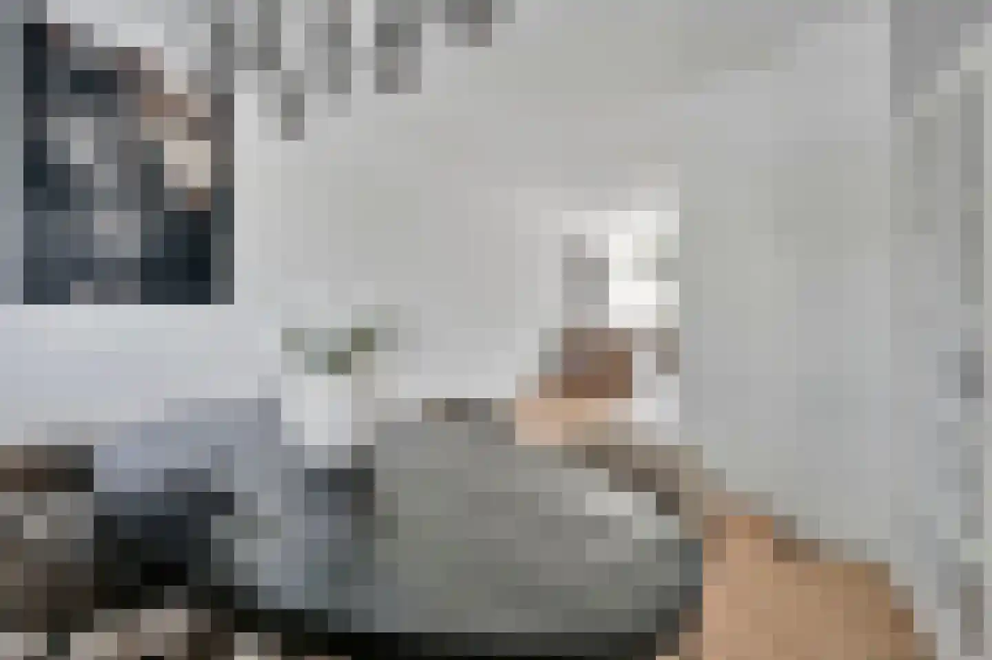 Geelvinkbaai 21 Capelle aan den IJssel thumbnail 10