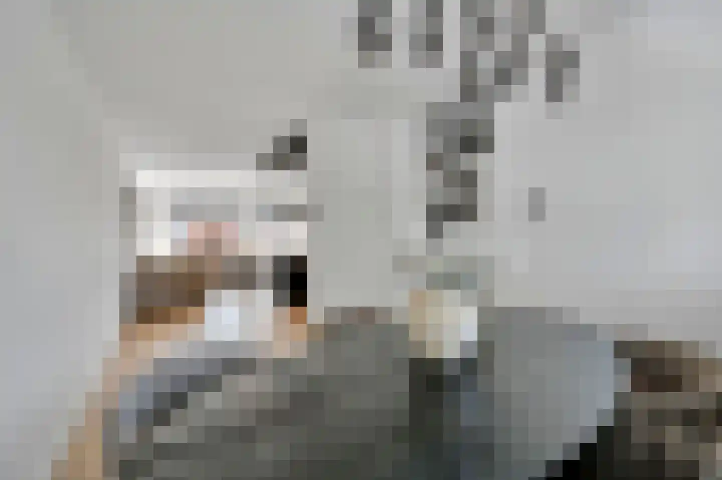 Geelvinkbaai 21 Capelle aan den IJssel thumbnail 11