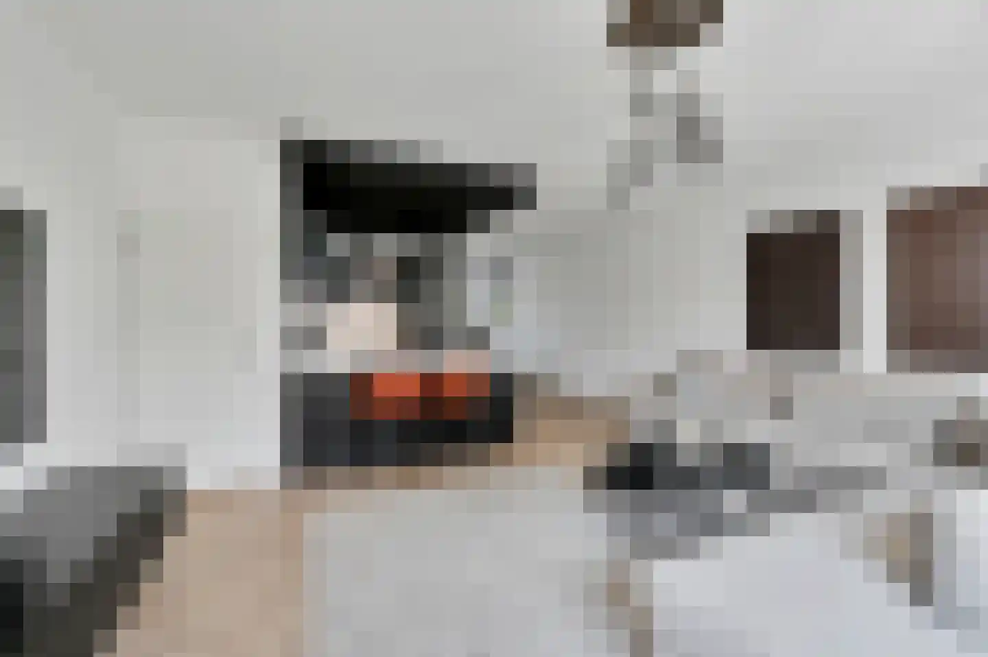 Geelvinkbaai 21 Capelle aan den IJssel thumbnail 12