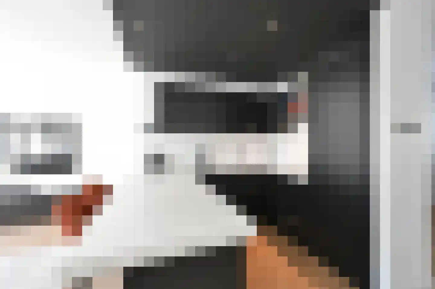 Geelvinkbaai 21 Capelle aan den IJssel thumbnail 15