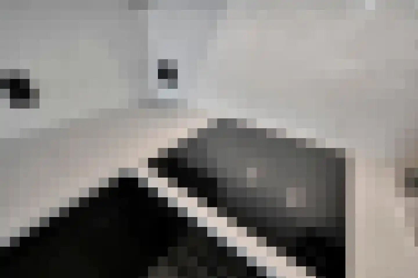 Geelvinkbaai 21 Capelle aan den IJssel thumbnail 16