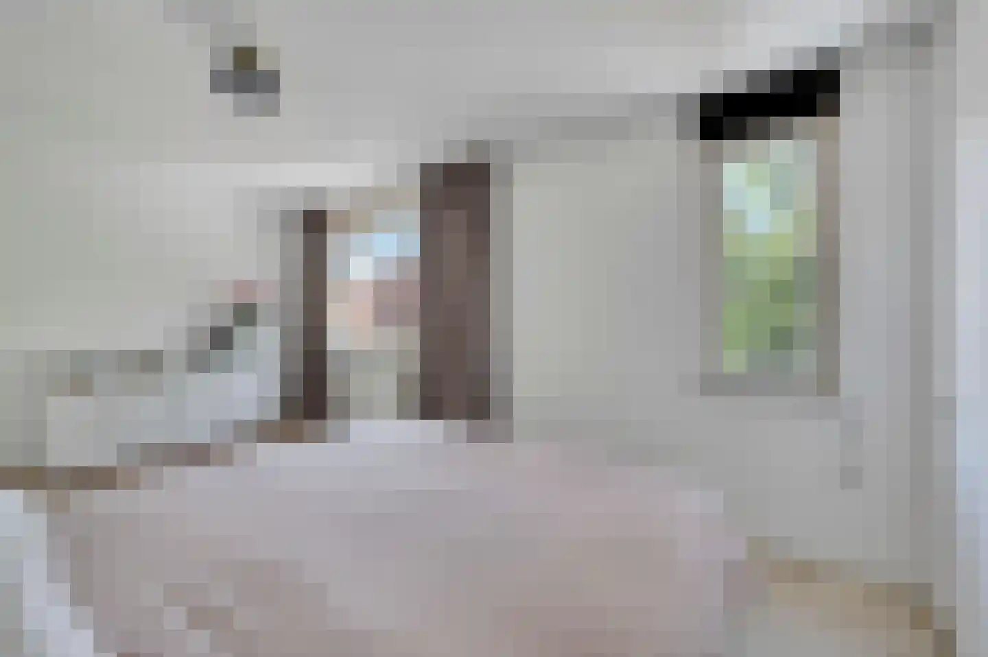 Geelvinkbaai 21 Capelle aan den IJssel thumbnail 21