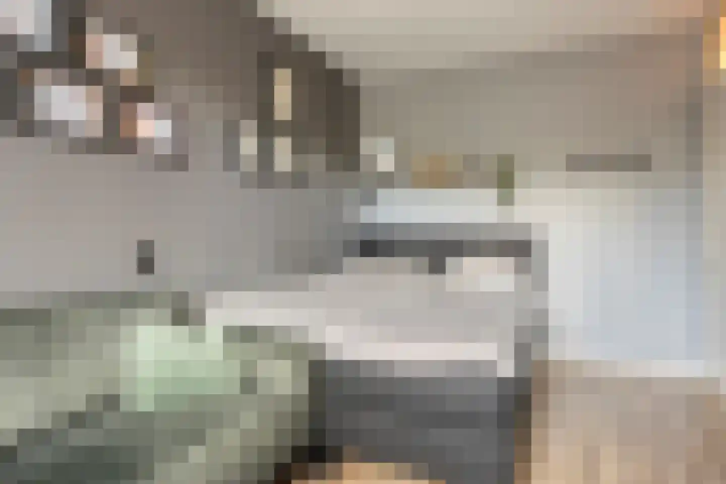 Geelvinkbaai 54 Capelle aan den IJssel thumbnail 14