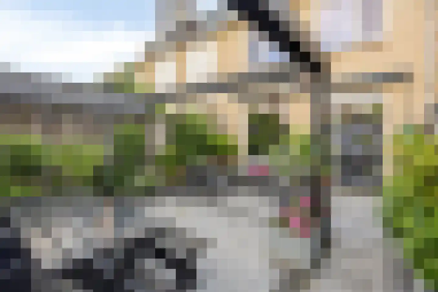 Geelvinkbaai 54 Capelle aan den IJssel thumbnail 20