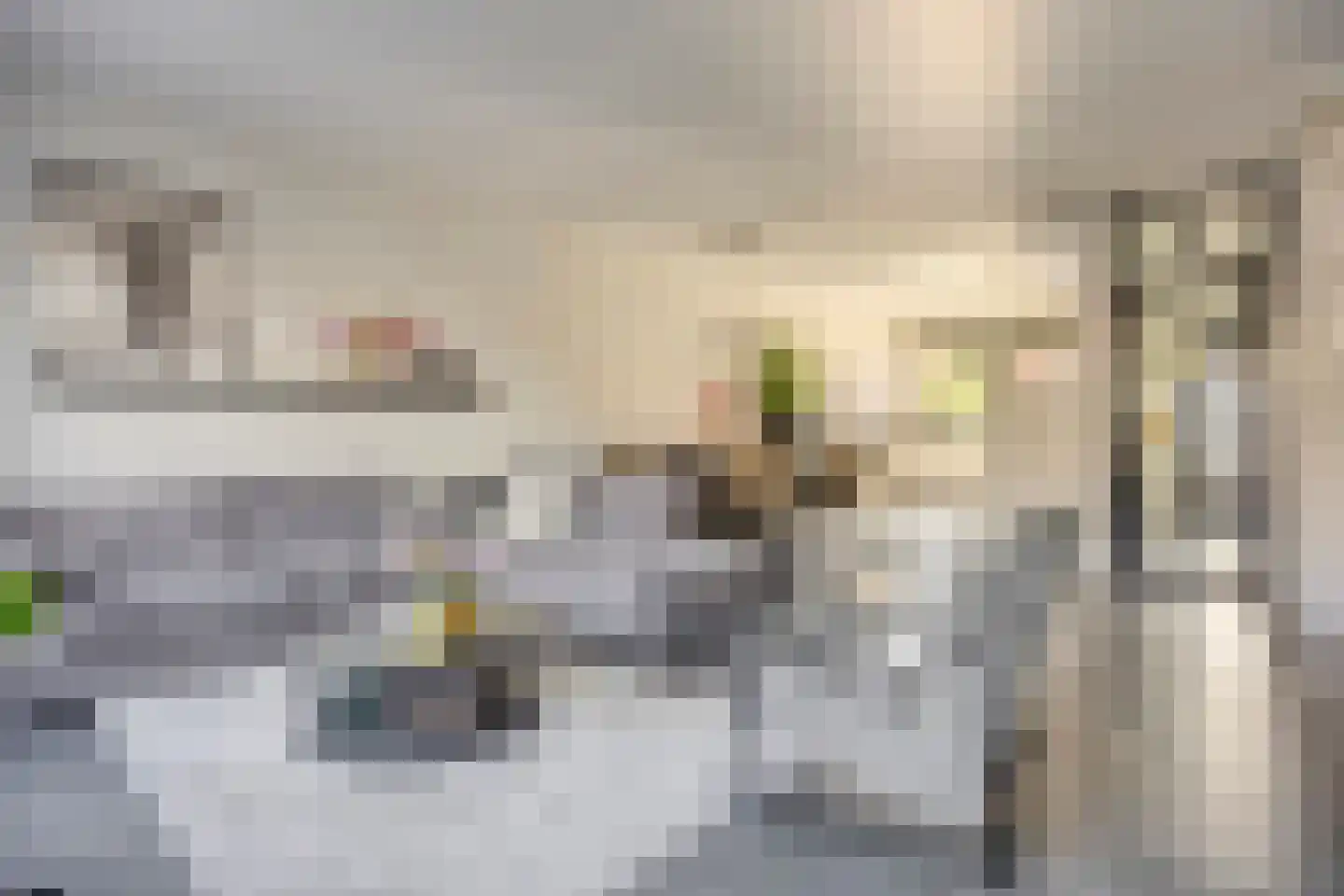 Geelvinkbaai 54 Capelle aan den IJssel thumbnail 4