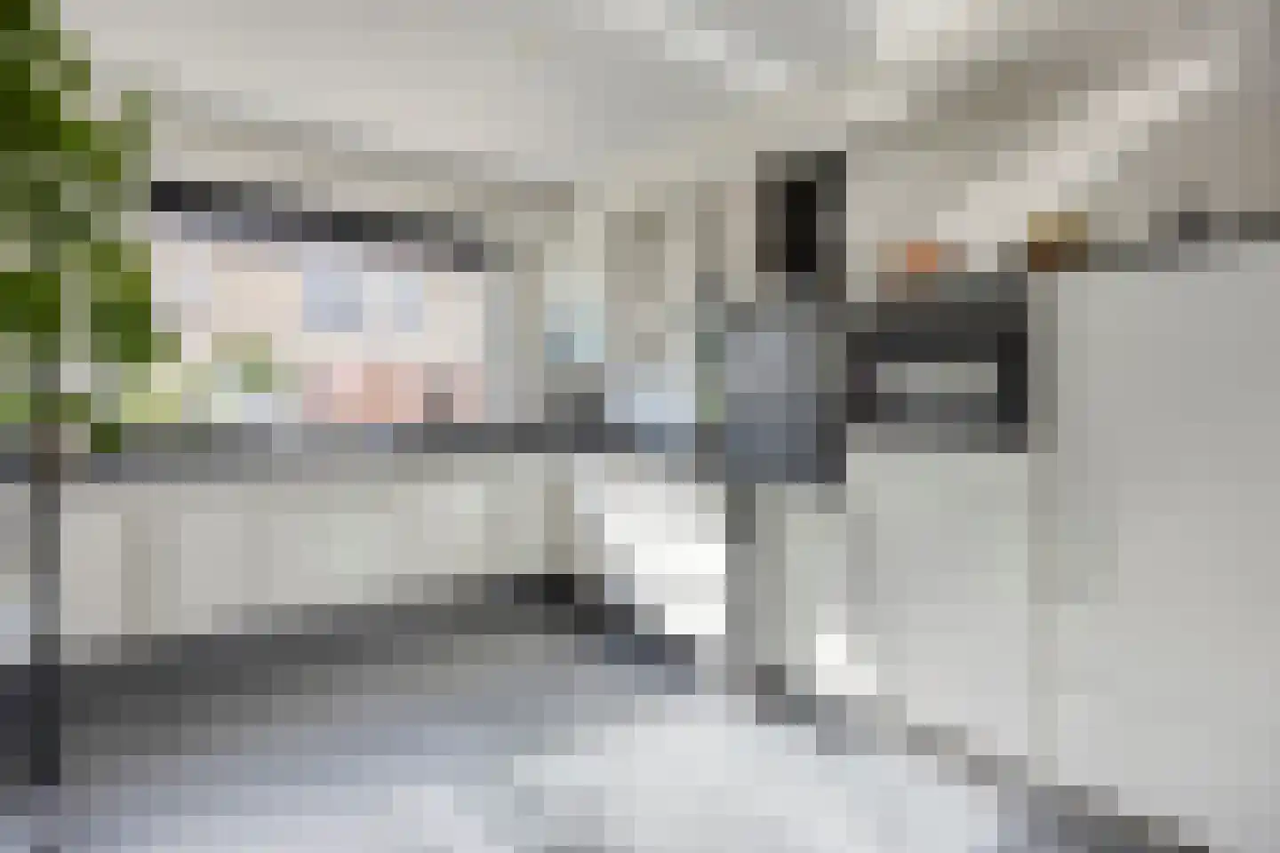 Geelvinkbaai 54 Capelle aan den IJssel thumbnail 6