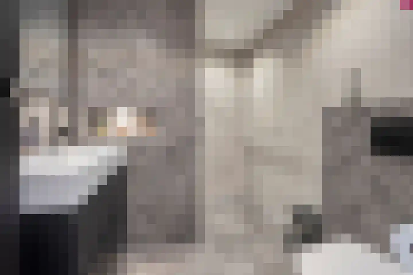 Geelvinkbaai 54 Capelle aan den IJssel thumbnail 8