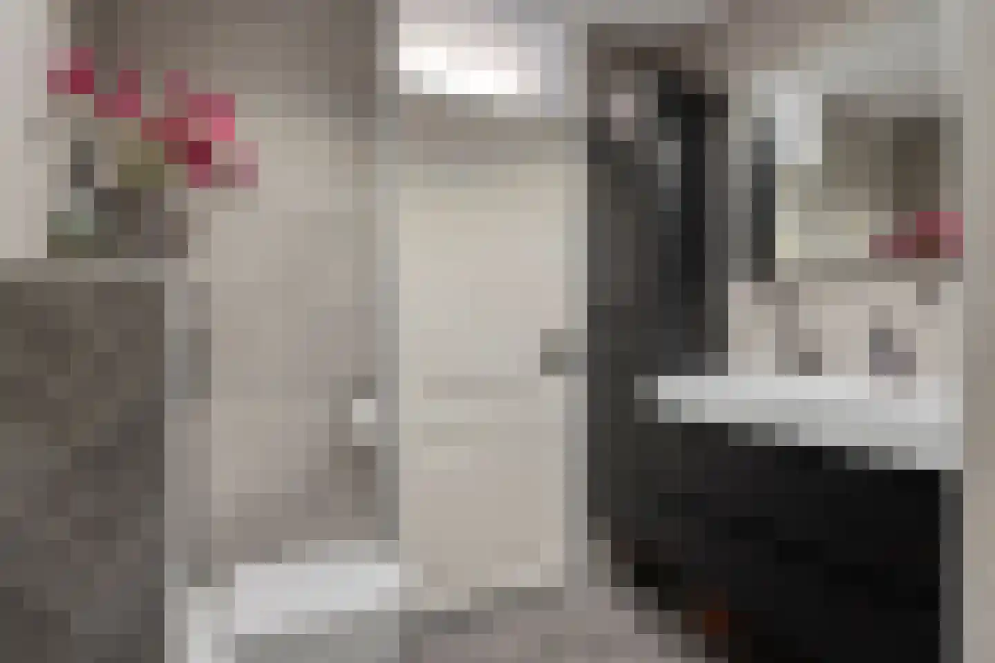 Geelvinkbaai 54 Capelle aan den IJssel thumbnail 9