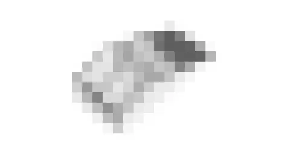 Geemansweer 6 Hardinxveld-Giessendam thumbnail 34