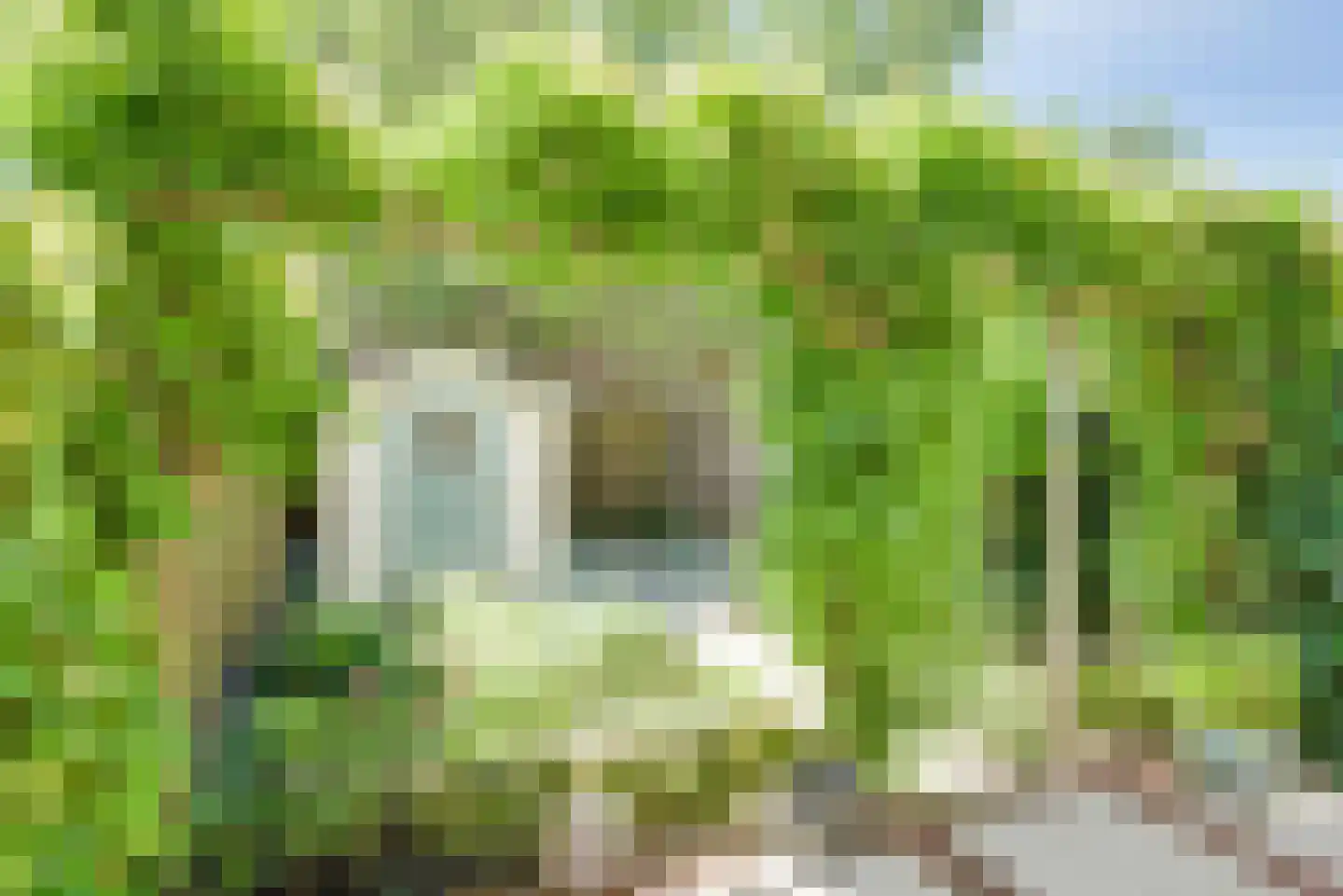 Geemansweer 6 Hardinxveld-Giessendam thumbnail 4