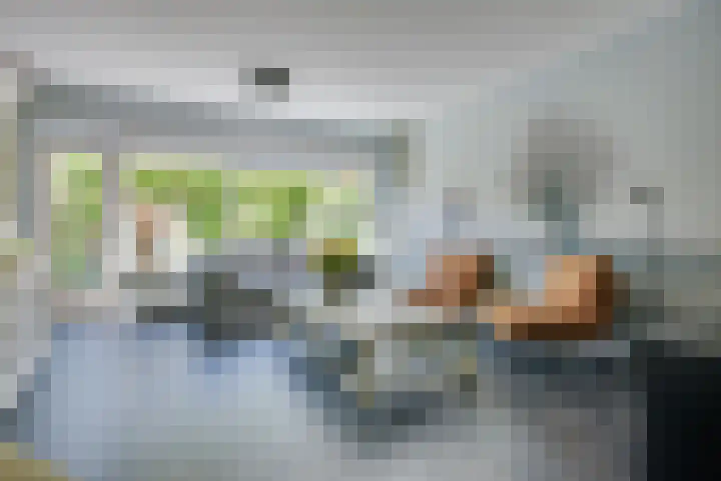 Geemansweer 6 Hardinxveld-Giessendam thumbnail 5