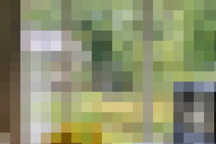Geeneind 3 Helmond thumbnail 12
