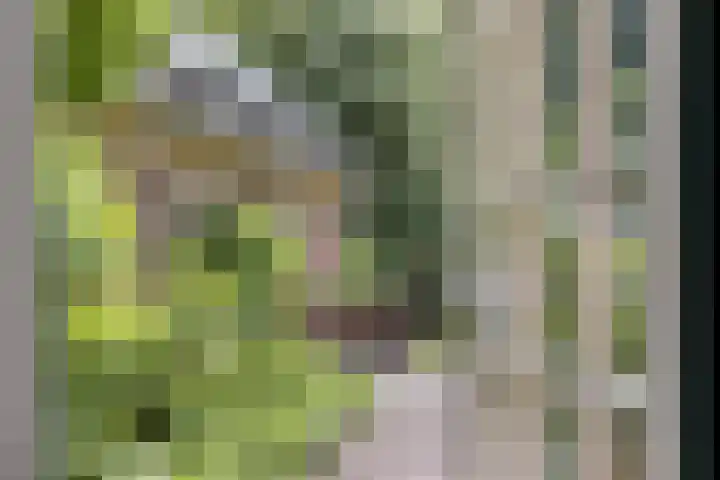 Geeneind 3 Helmond thumbnail 19