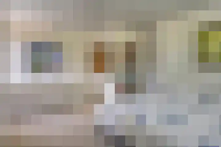 Geeneind 3 Helmond thumbnail 24