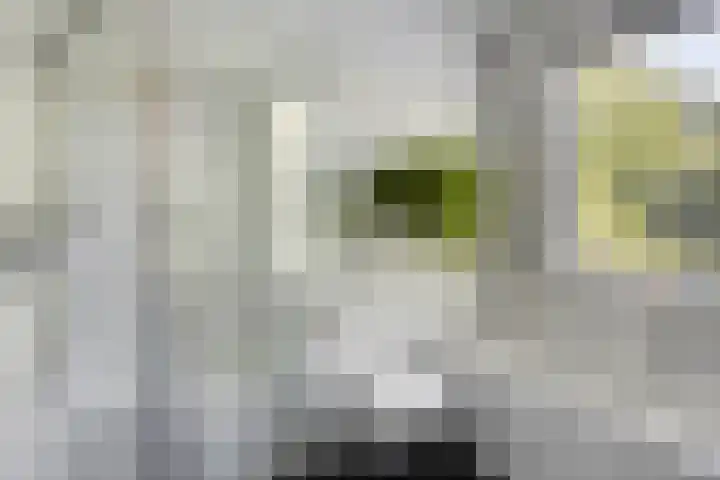 Geeneind 3 Helmond thumbnail 25