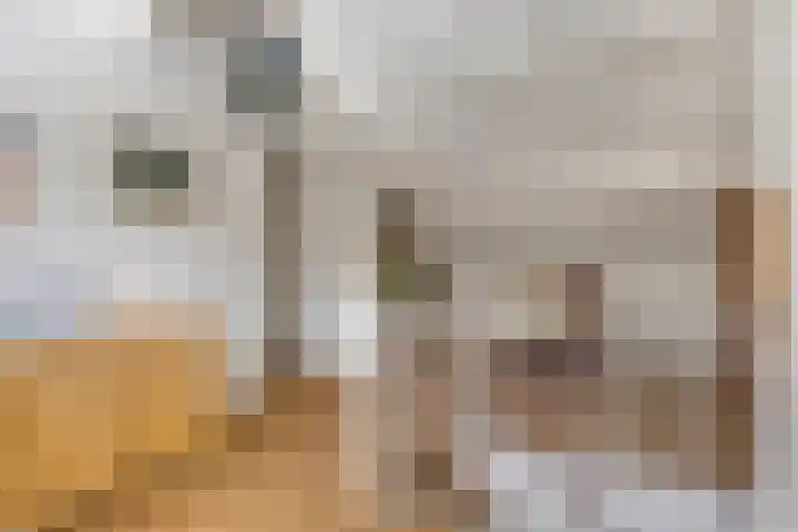 Geeneind 3 Helmond thumbnail 28