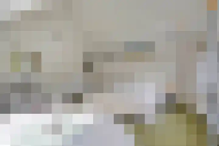Geeneind 3 Helmond thumbnail 30