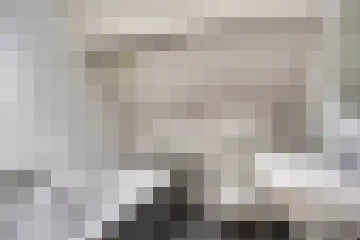 Geeneind 3 Helmond thumbnail 31
