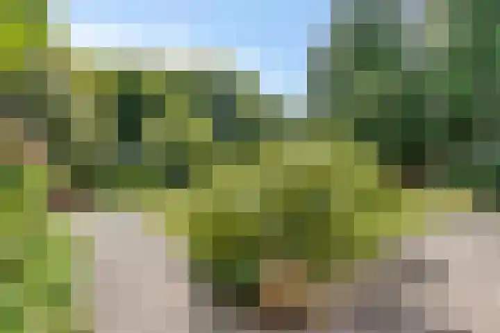 Geeneind 3 Helmond thumbnail 35