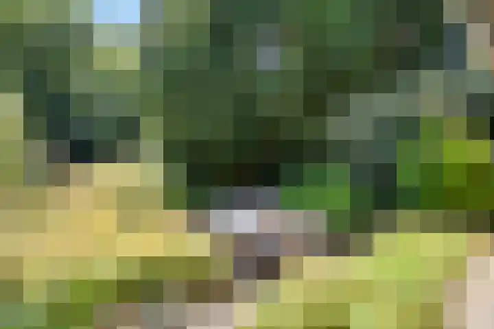 Geeneind 3 Helmond thumbnail 37