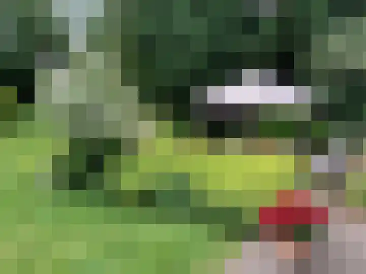 Geeneind 3 Helmond thumbnail 38
