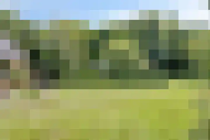 Geeneind 3 Helmond thumbnail 39