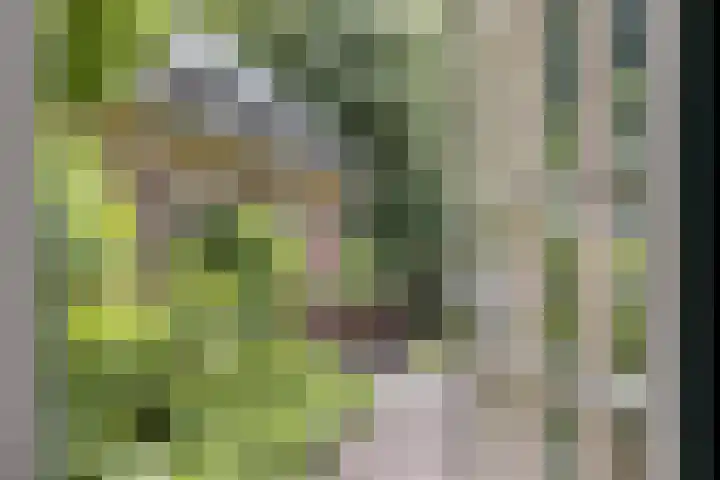 Geeneind 3 Helmond thumbnail 4