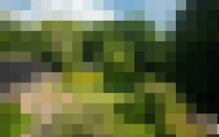 Geeneind 3 Helmond thumbnail 42