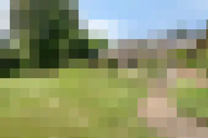 Geeneind 3 Helmond thumbnail 43