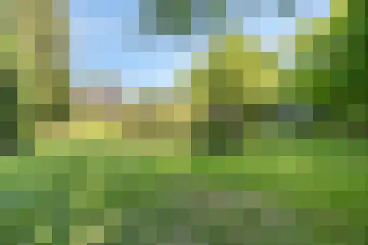 Geeneind 3 Helmond thumbnail 45