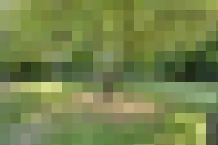 Geeneind 3 Helmond thumbnail 46
