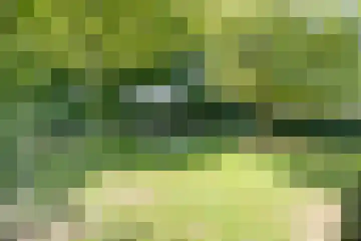 Geeneind 3 Helmond thumbnail 48